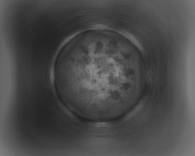 X0000100900839200807081101