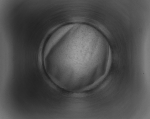 X0000100900840200807081101