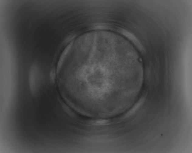 X0000100900841200807081101