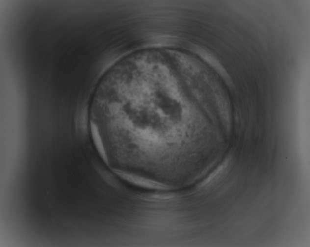 X0000100900842200807081101