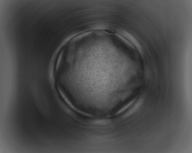 X0000100900843200807081101