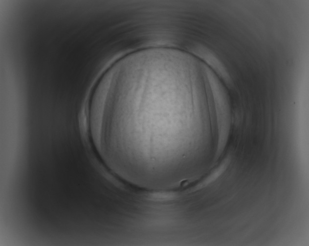 X0000100900844200807081101