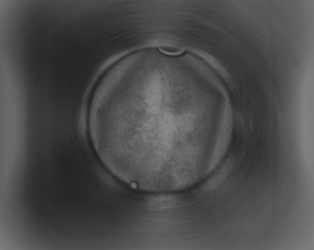 X0000100900846200807081101