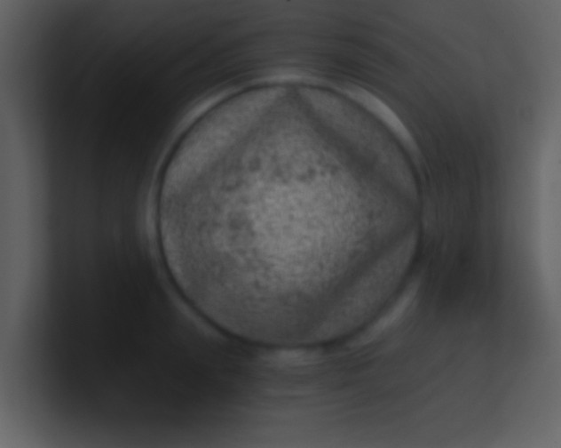 X0000100900847200807081101