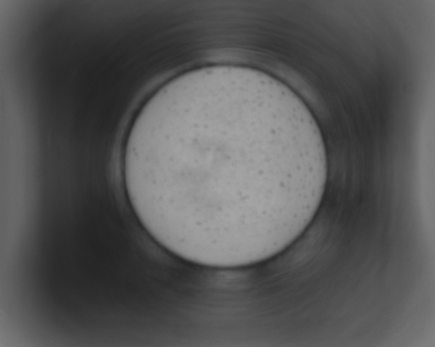 X0000100900848200807081101