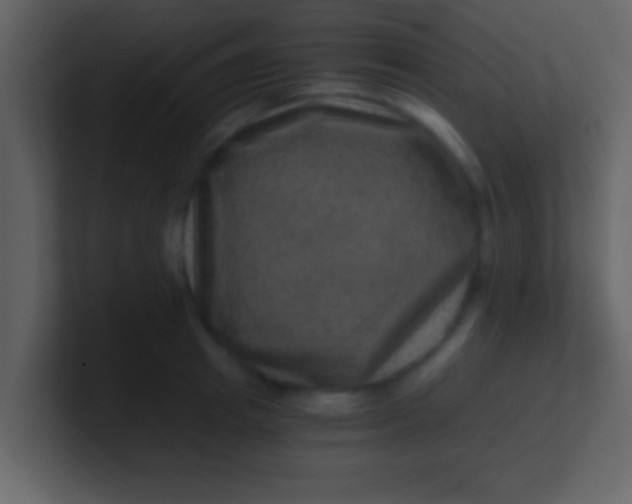 X0000100900849200807081101