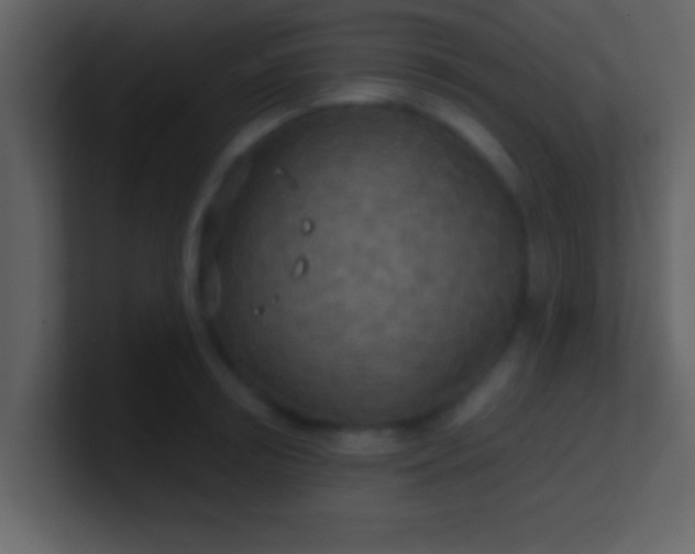 X0000100900850200807081101