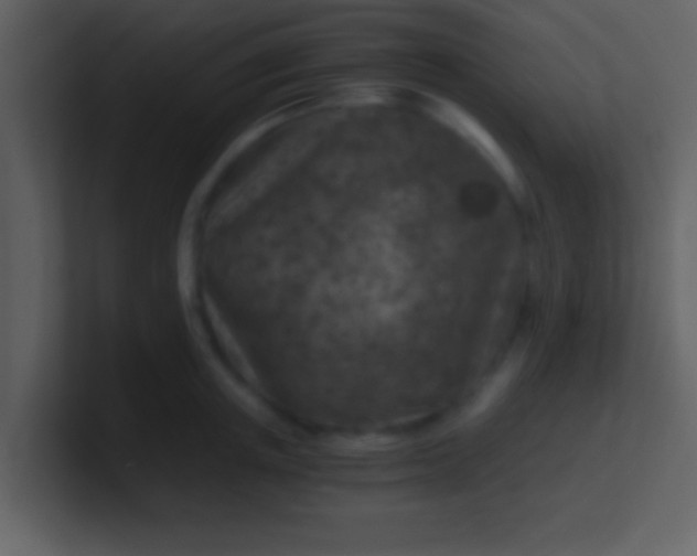 X0000100900851200807081101