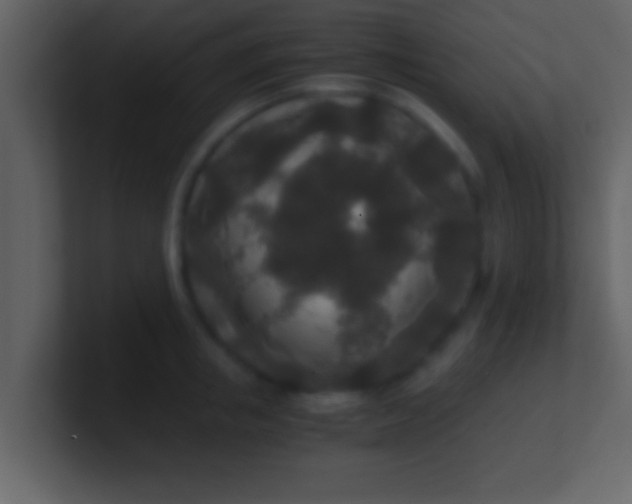 X0000100900853200807081101