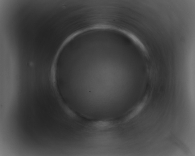 X0000100900854200807081101