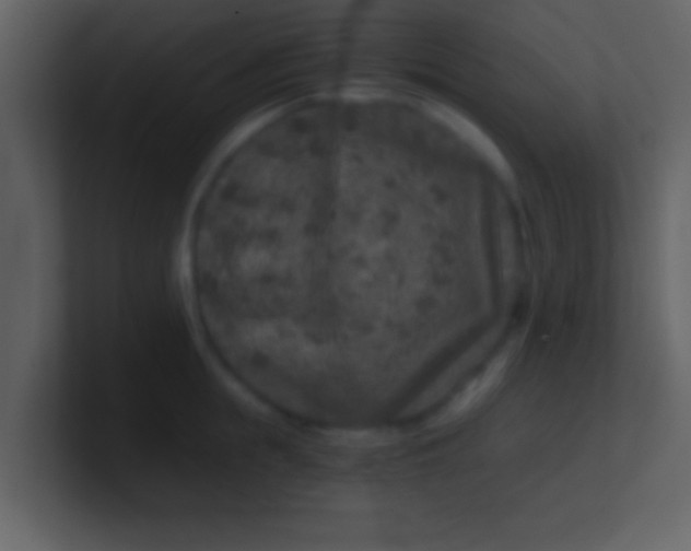 X0000100900855200807081101