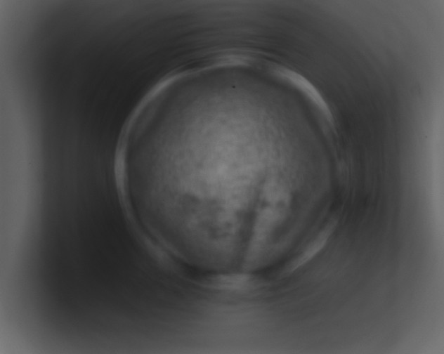 X0000100900859200807081101