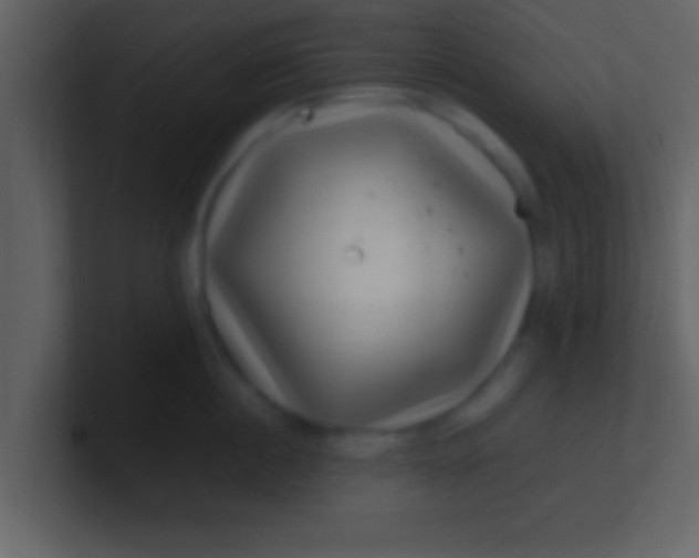 X0000100900860200807081101