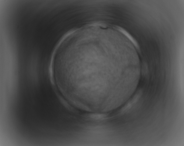 X0000100900861200807081101