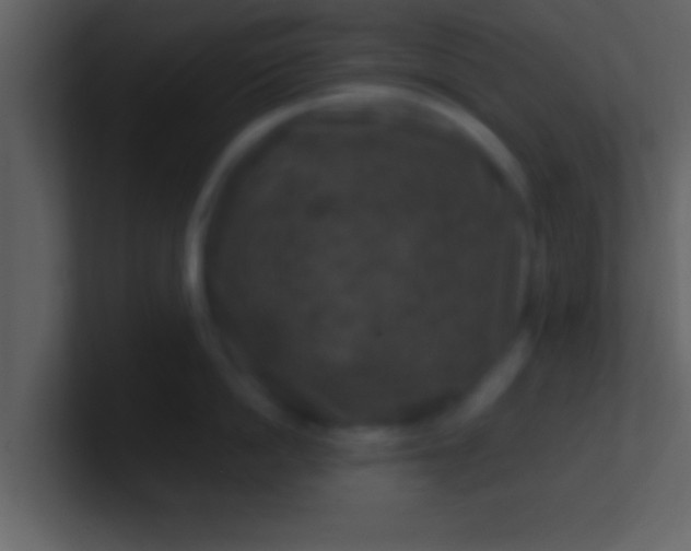 X0000100900862200807081101