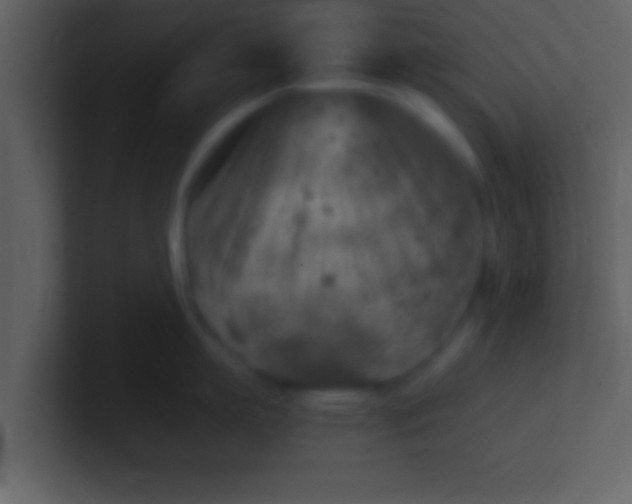 X0000100900863200807081101