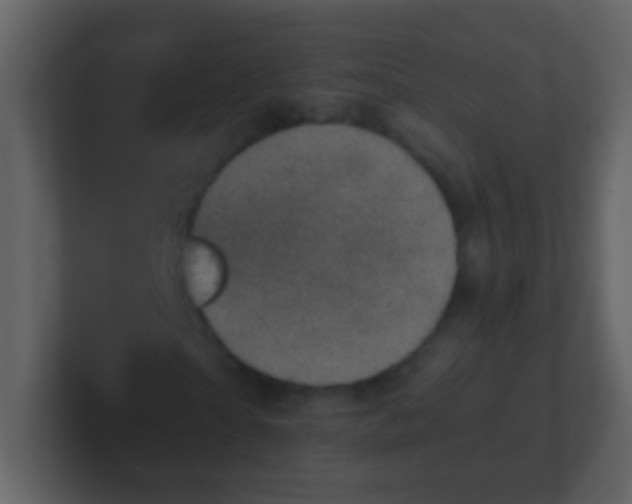 X0000100900865200807081100