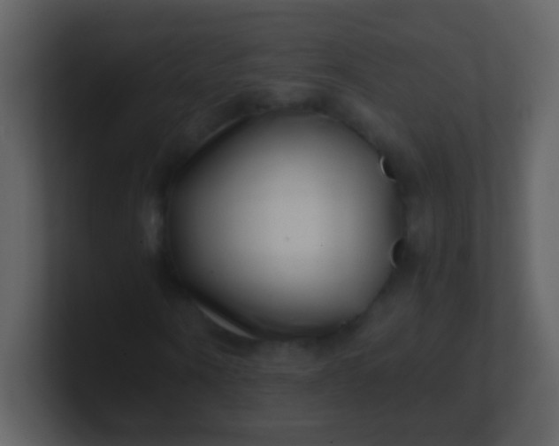 X0000100900866200807081100