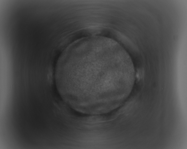 X0000100900867200807081100