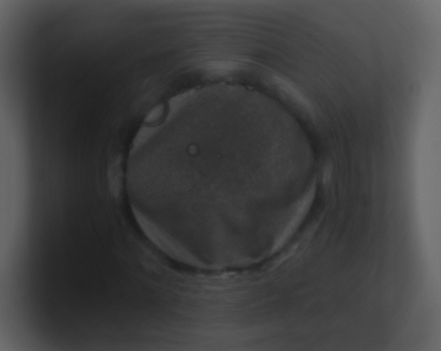 X0000100900868200807081100