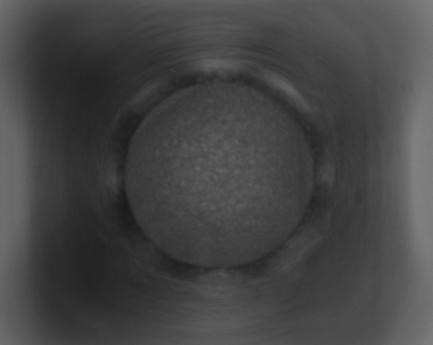 X0000100900869200807081100