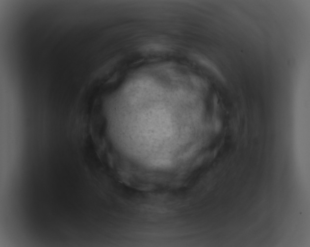 X0000100900870200807081100