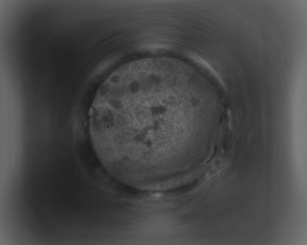 X0000100900871200807081100