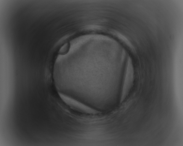 X0000100900872200807081100