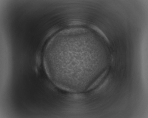 X0000100900874200807081100