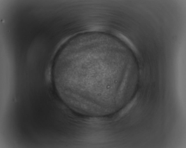 X0000100900875200807081100