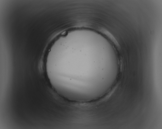 X0000100900876200807081100