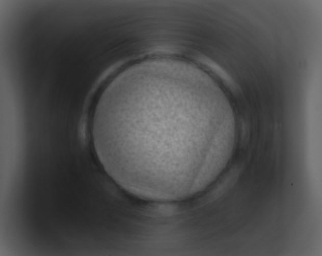 X0000100900878200807081100