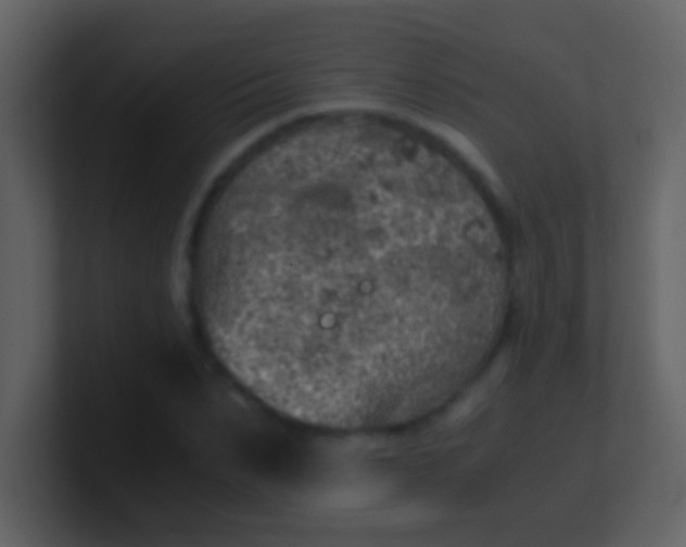 X0000100900879200807081100