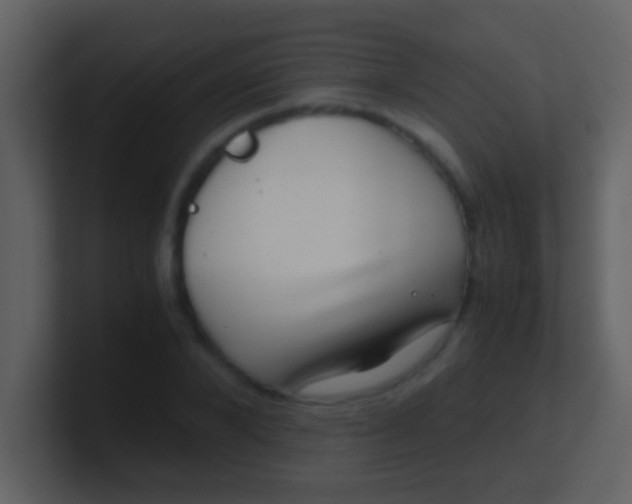 X0000100900880200807081100