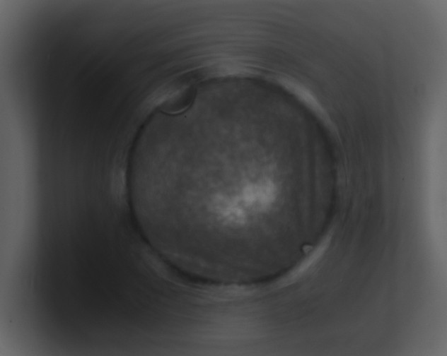 X0000100900881200807081100