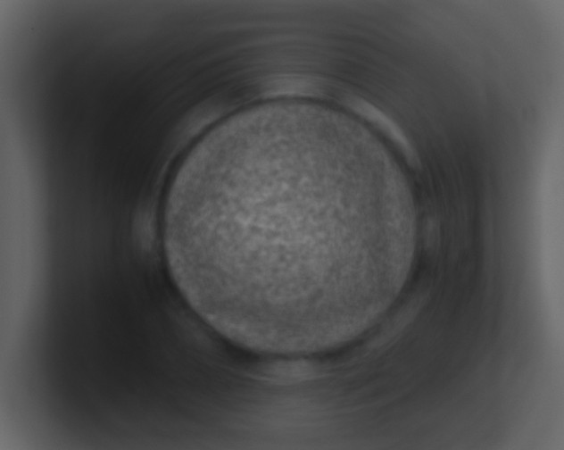 X0000100900882200807081100