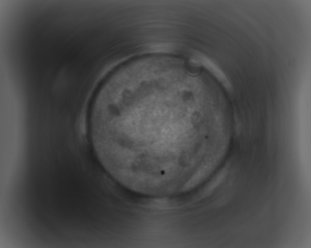 X0000100900883200807081100