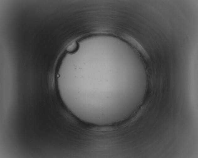 X0000100900884200807081100