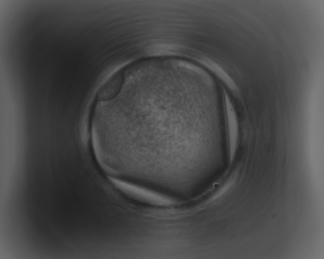 X0000100900885200807081100