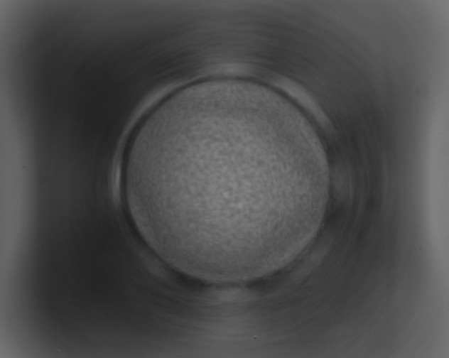 X0000100900886200807081100