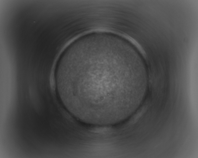 X0000100900887200807081100