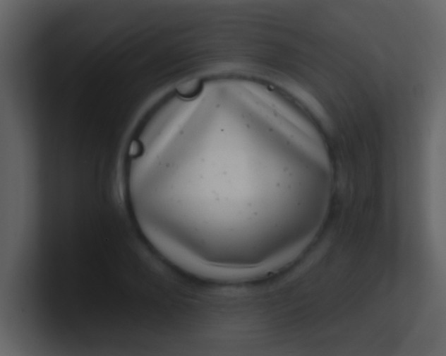 X0000100900888200807081100