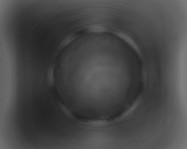 X0000100900889200807081100