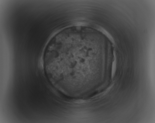 X0000100900891200807081100