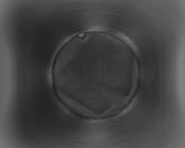 X0000100900892200807081100