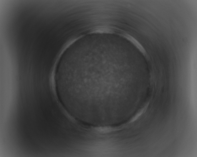 X0000100900893200807081100