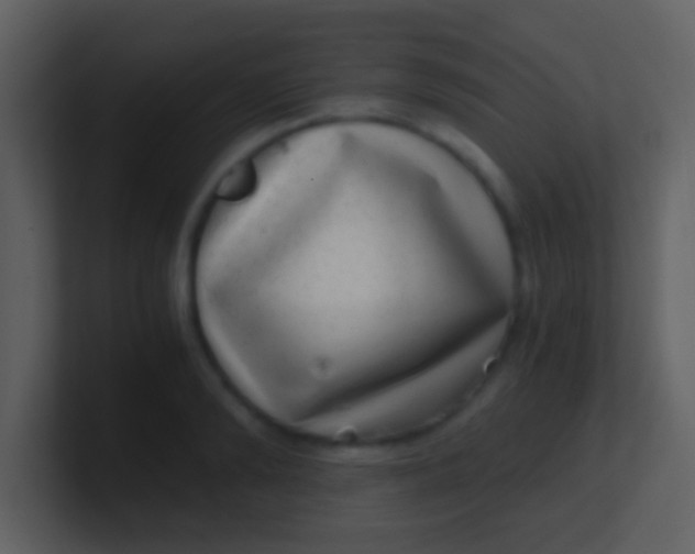 X0000100900894200807081100