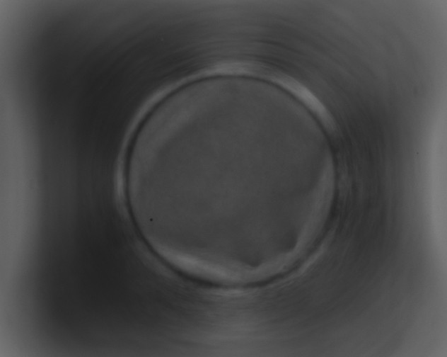 X0000100900896200807081100