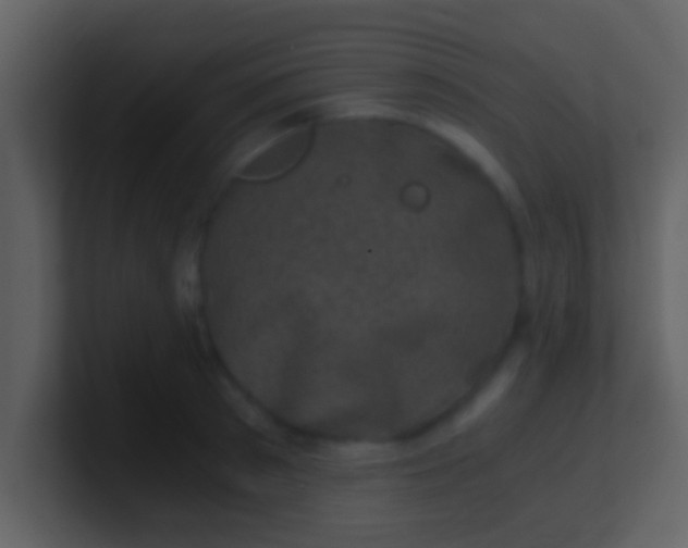 X0000100900897200807081100