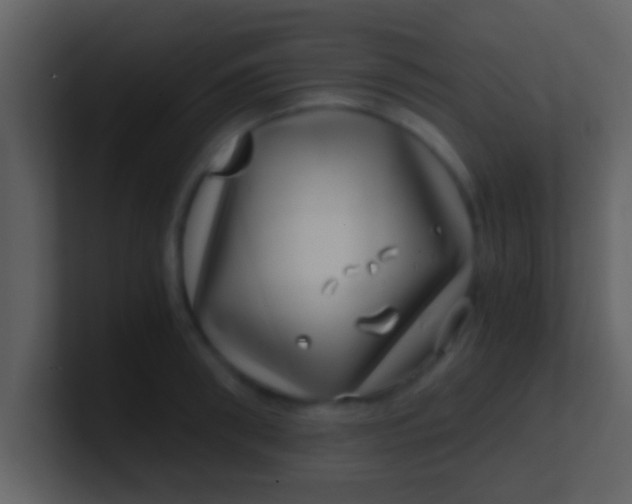 X0000100900898200807081100